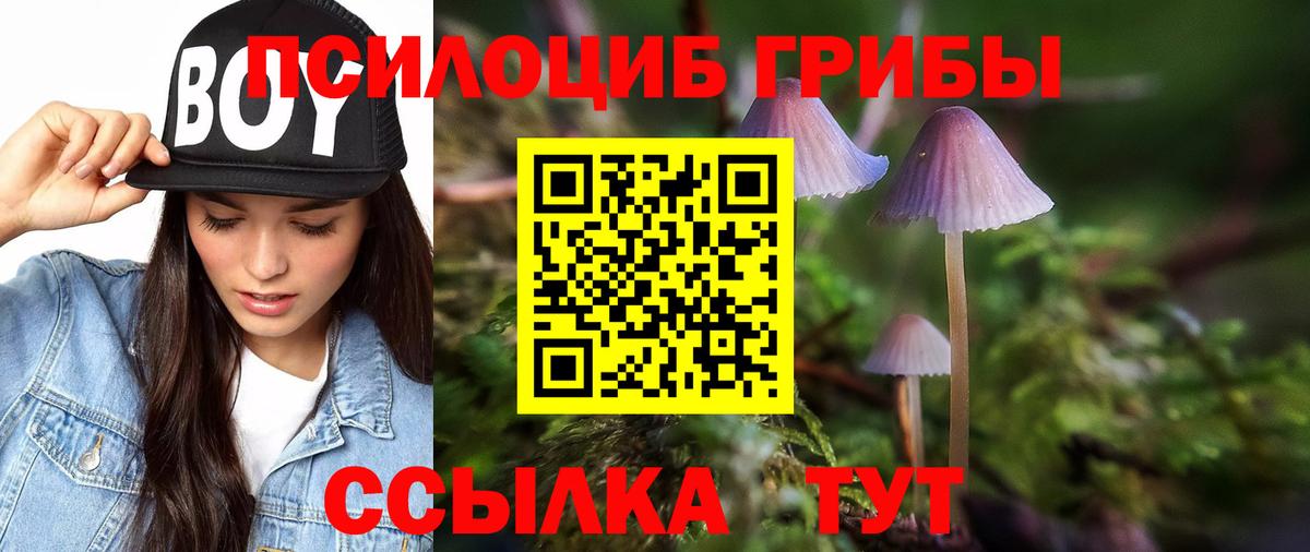 Феодосия  дарнет шоп  Вход с VPN  Псилоцибиновые грибы Cubensis 